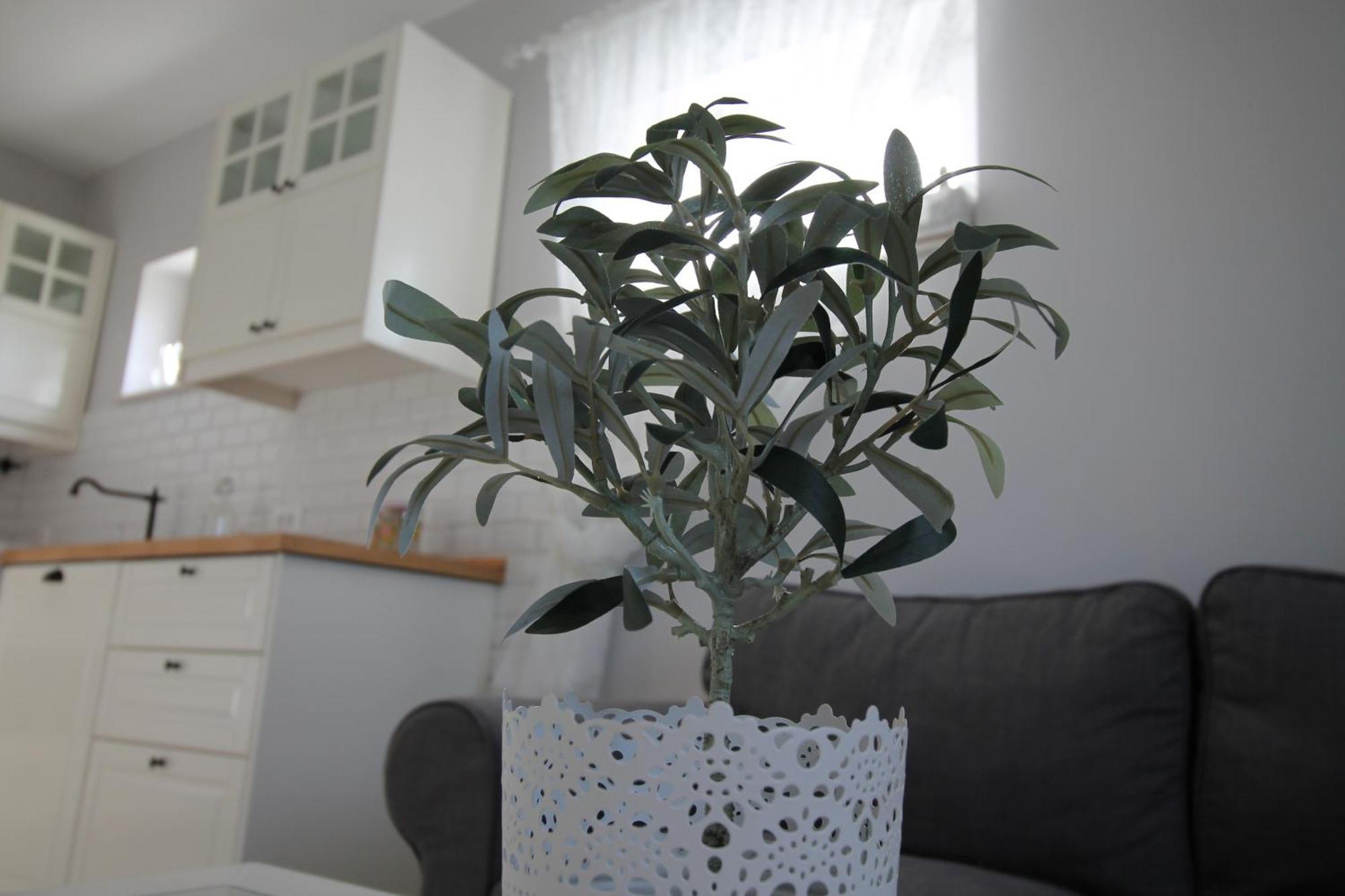 Apartments Tonka Trogir Room photo